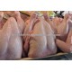 BRAZIL HALAL FROZEN WHOLE CHICKEN- FROZEN CHICKEN PAWS FROZEN PROCESSED CHICKEN FEET